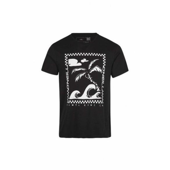 Oneill Fin T-Shirt Férfi póló - SM-2850120-19010