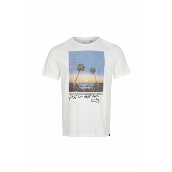 Oneill Loren T-Shirt Férfi póló - SM-2850123-11010