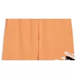 Puma ESS+ LOGO LAB Graphic Shorts Férfi rövidnadrág - SM-678989-46