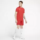Nike NIKE DRI-FIT PARK VII MEN"S SO Férfi póló - SM-BV6708-657
