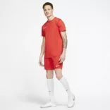 Nike NIKE DRI-FIT PARK VII MEN"S SO Férfi póló - SM-BV6708-657
