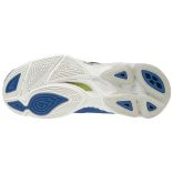 Mizuno WAVE LIGHTNING Z6 Férfi edző cipő - SM-V1GC200006